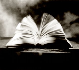 20090422164612-libro-abierto.jpg